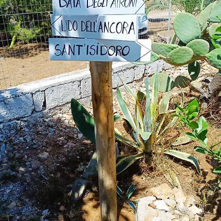 Apartment Perla Marina